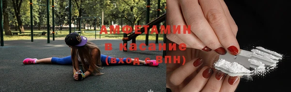 сатива Алзамай