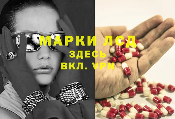 сатива Алзамай