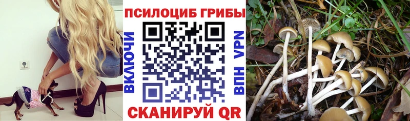 Галлюциногенные грибы GOLDEN TEACHER  магазин  наркотиков  Новая Ляля 